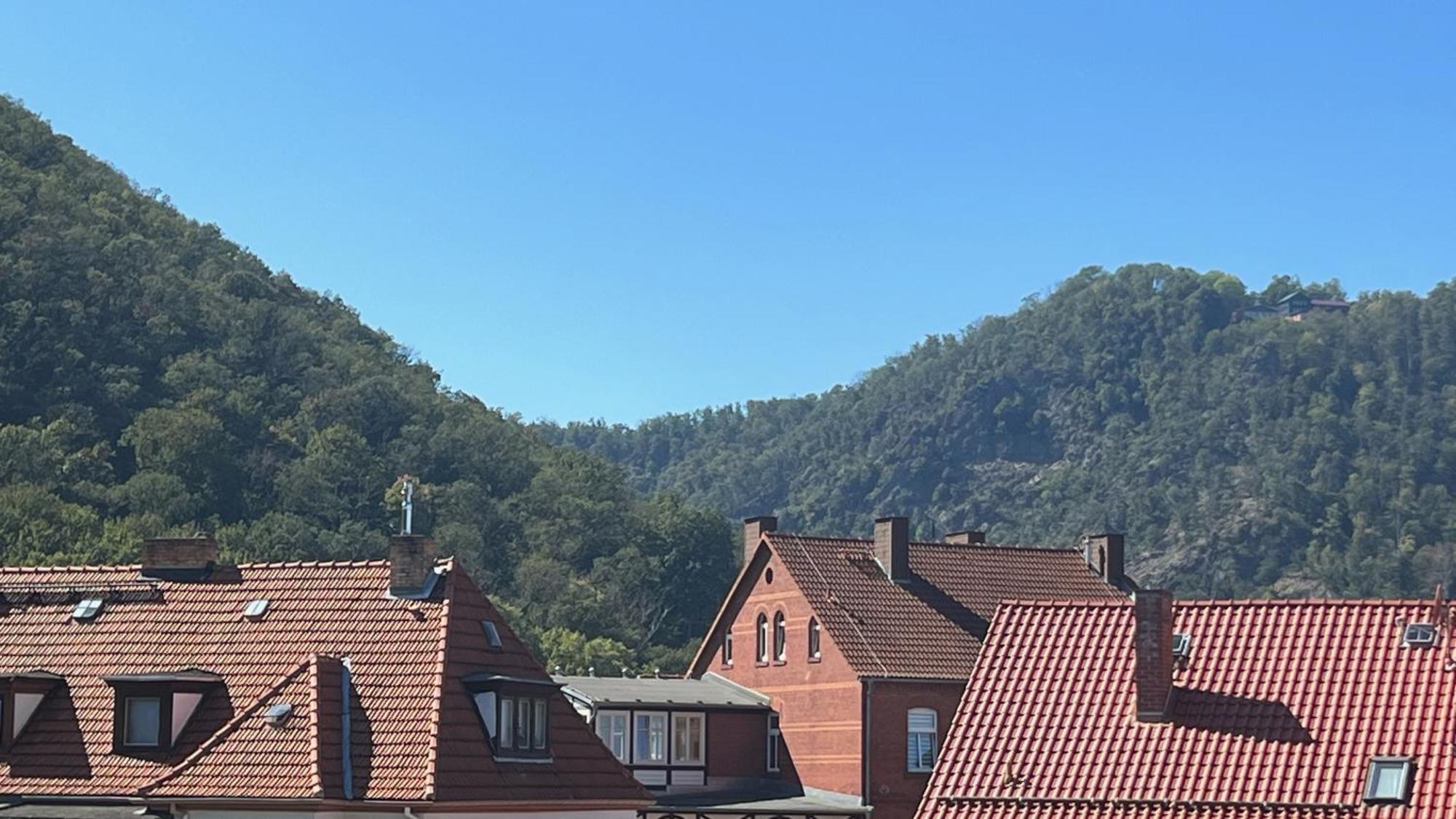 Appartamento Rosstrappenblick Thale Esterno foto